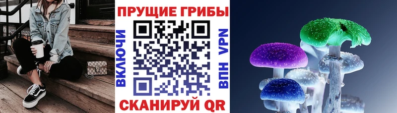 Галлюциногенные грибы Psilocybine cubensis  Шилка 