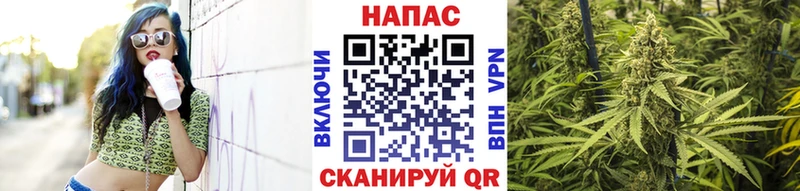 МАРИХУАНА конопля цена Шилка